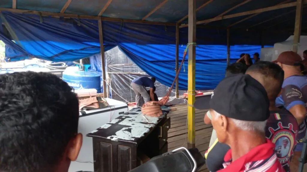 Vídeo: homem é executado em balsa no porto da Panair e choca população