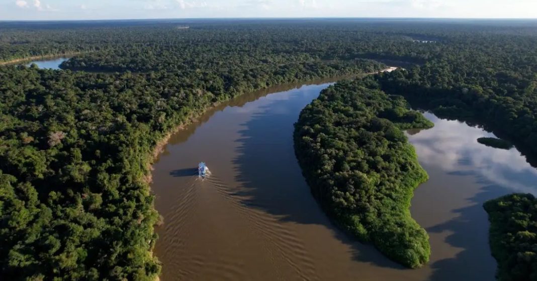 Seminário em Manaus vai debater propostas e acolher sugestões de desenvolvimento sustentável na Amazônia