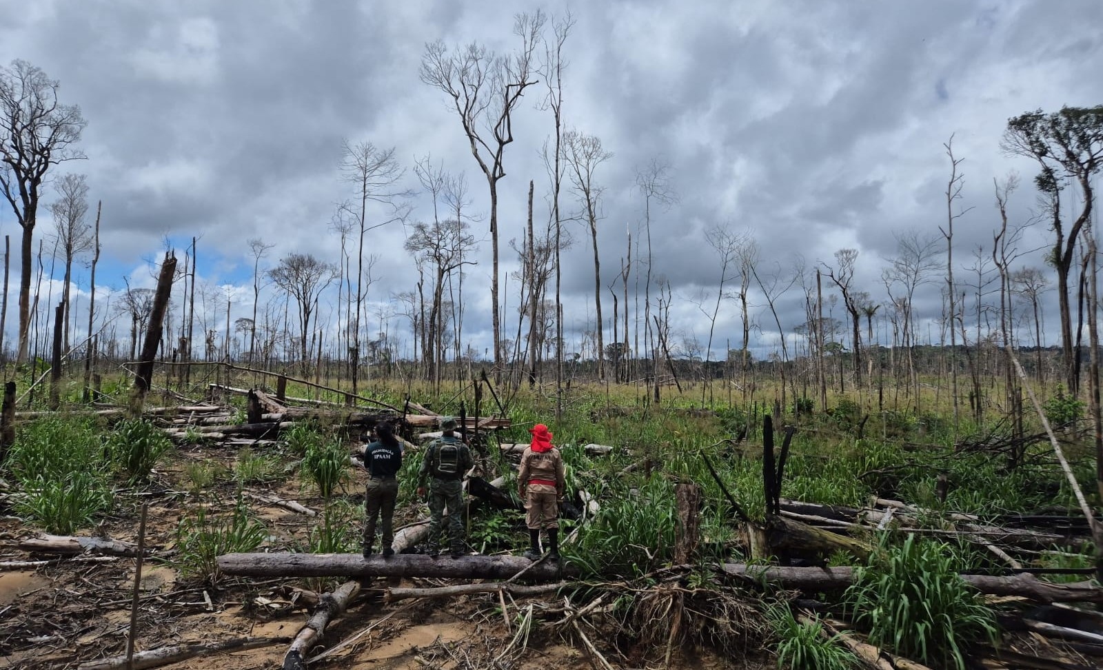 Operação aplica mais de R$ 10 milhões em multas ambientais no sul do AM