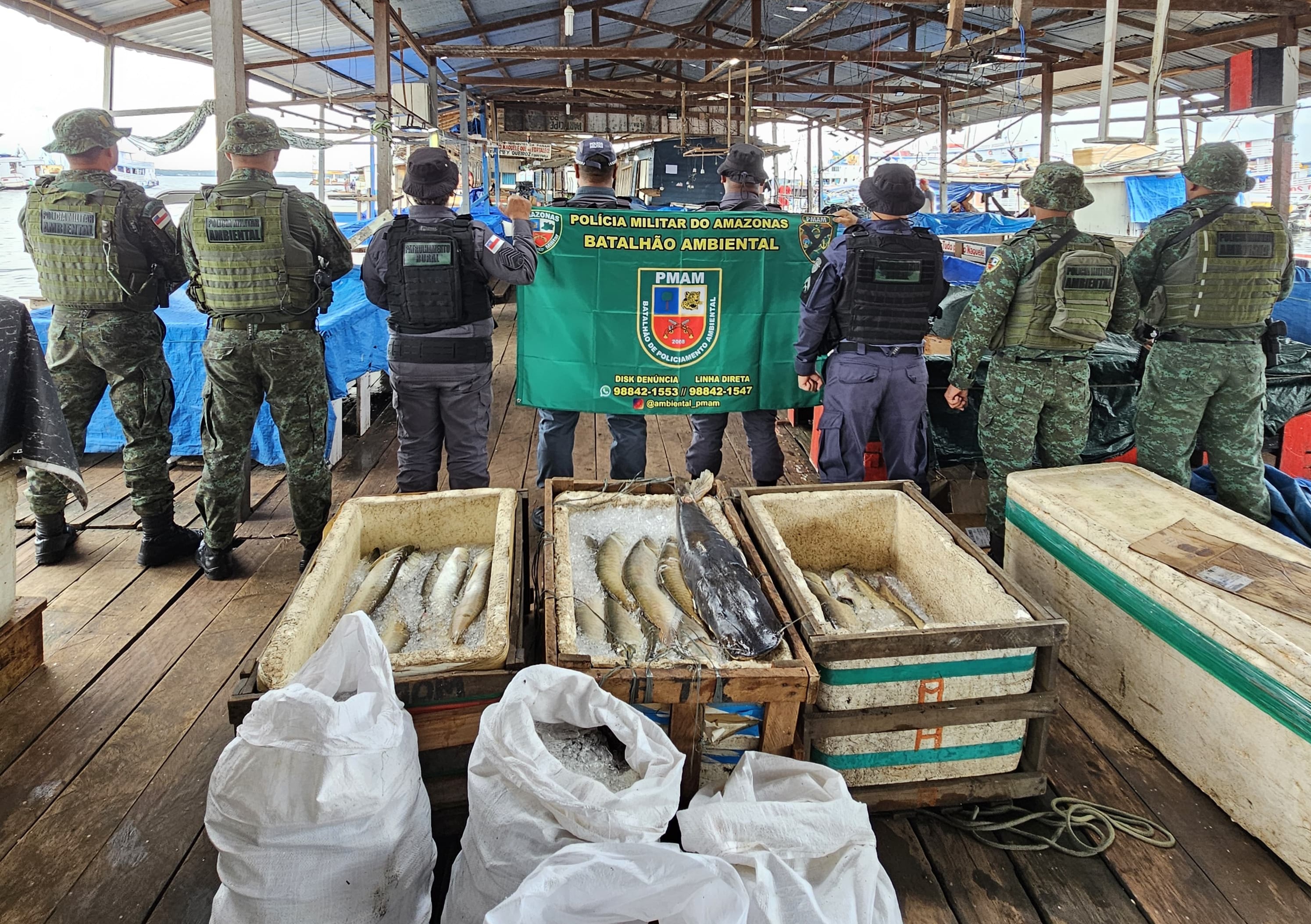 PMAM aprende cerca de 600 quilos de pescado ilegal na feira da Panair