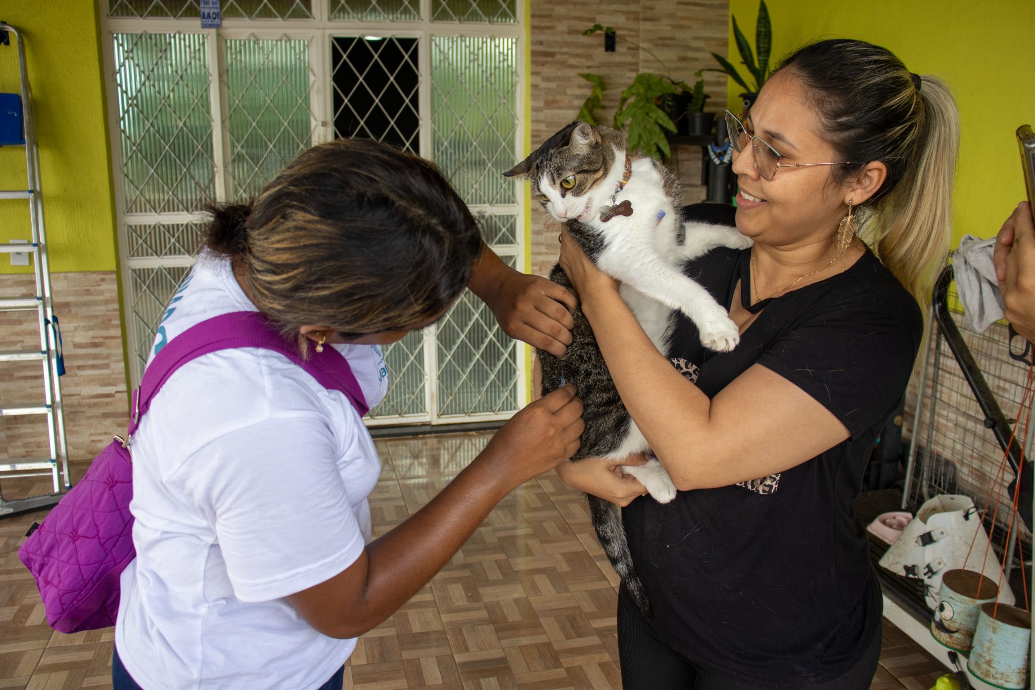 Vacinação de cães e gatos contra raiva segue em 27 postos fixos em Manaus