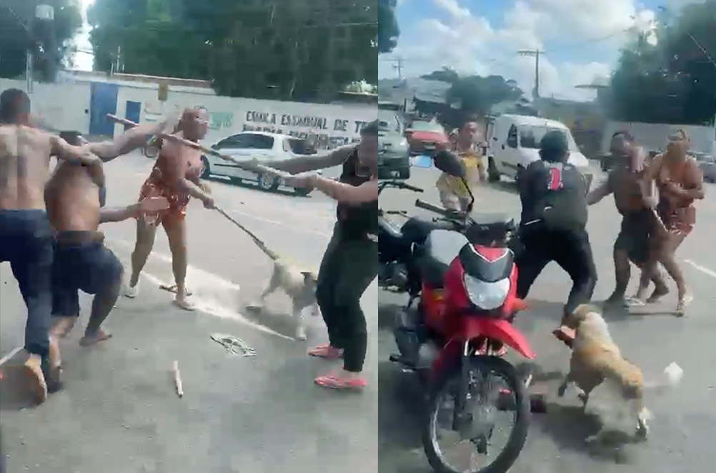 Vídeo: Cachorro tenta proteger tutor durante briga a pauladas em Manaus