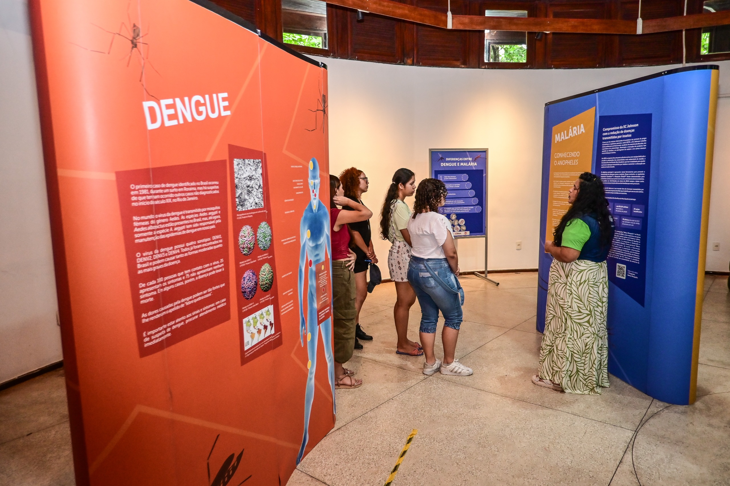 Exposição 'Aedes e Anopheles' prorroga temporada em Manaus até maio de 2026