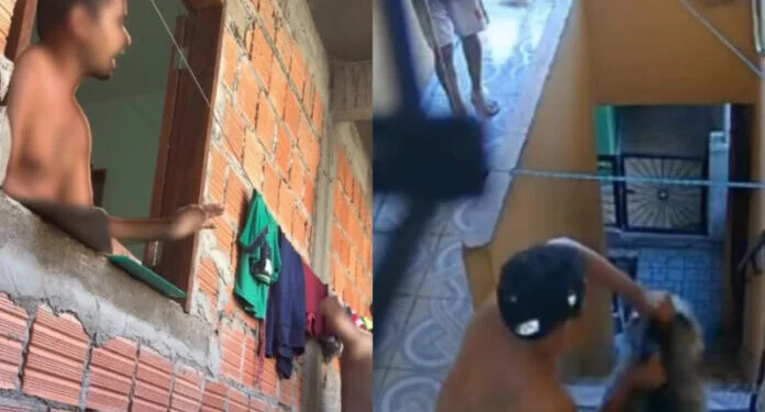 Vídeo: homem é preso após jogar cachorro de escada em Manaus