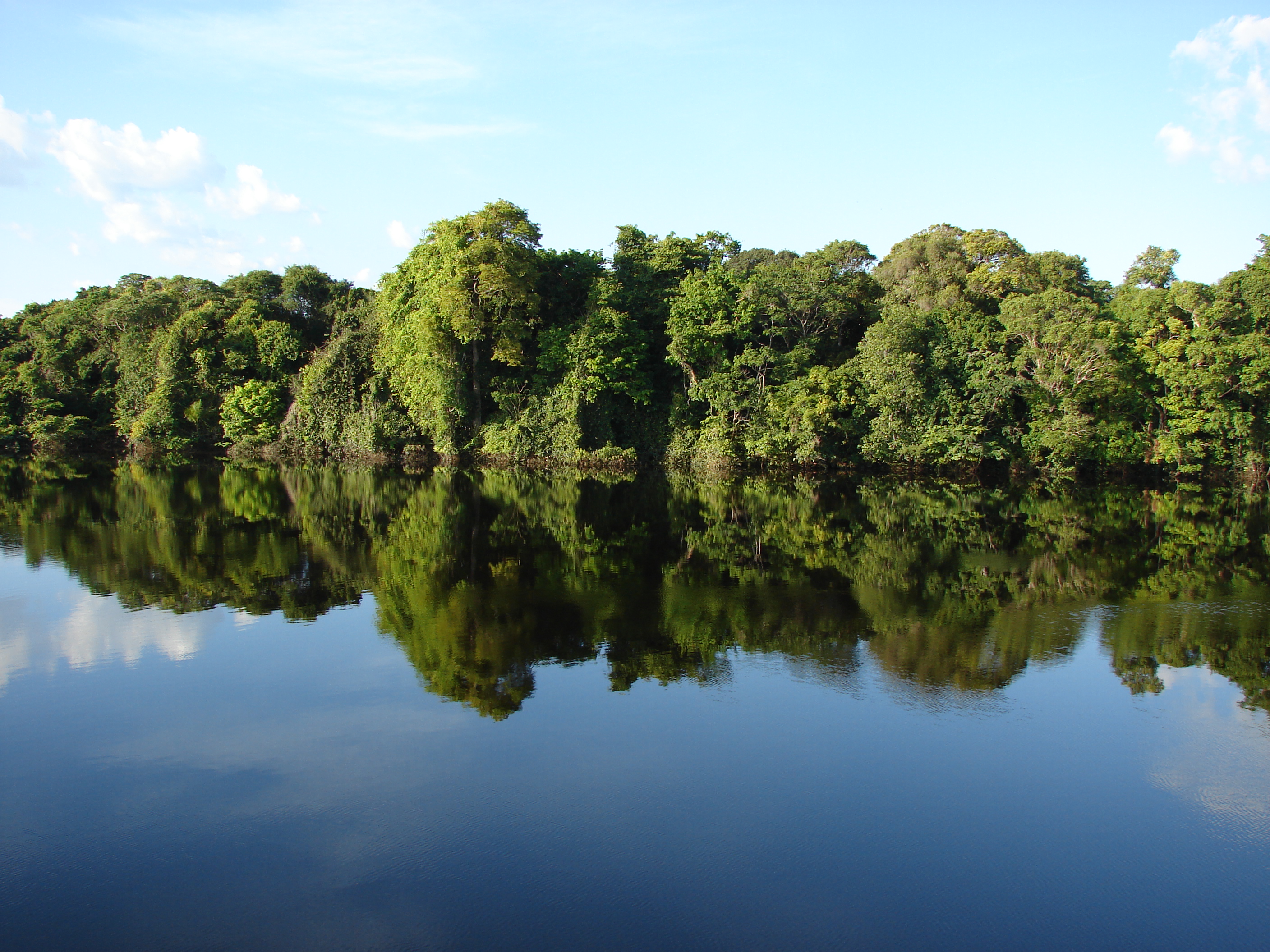 WCS Brasil é eleita para compor Conselho Nacional do Meio Ambiente
