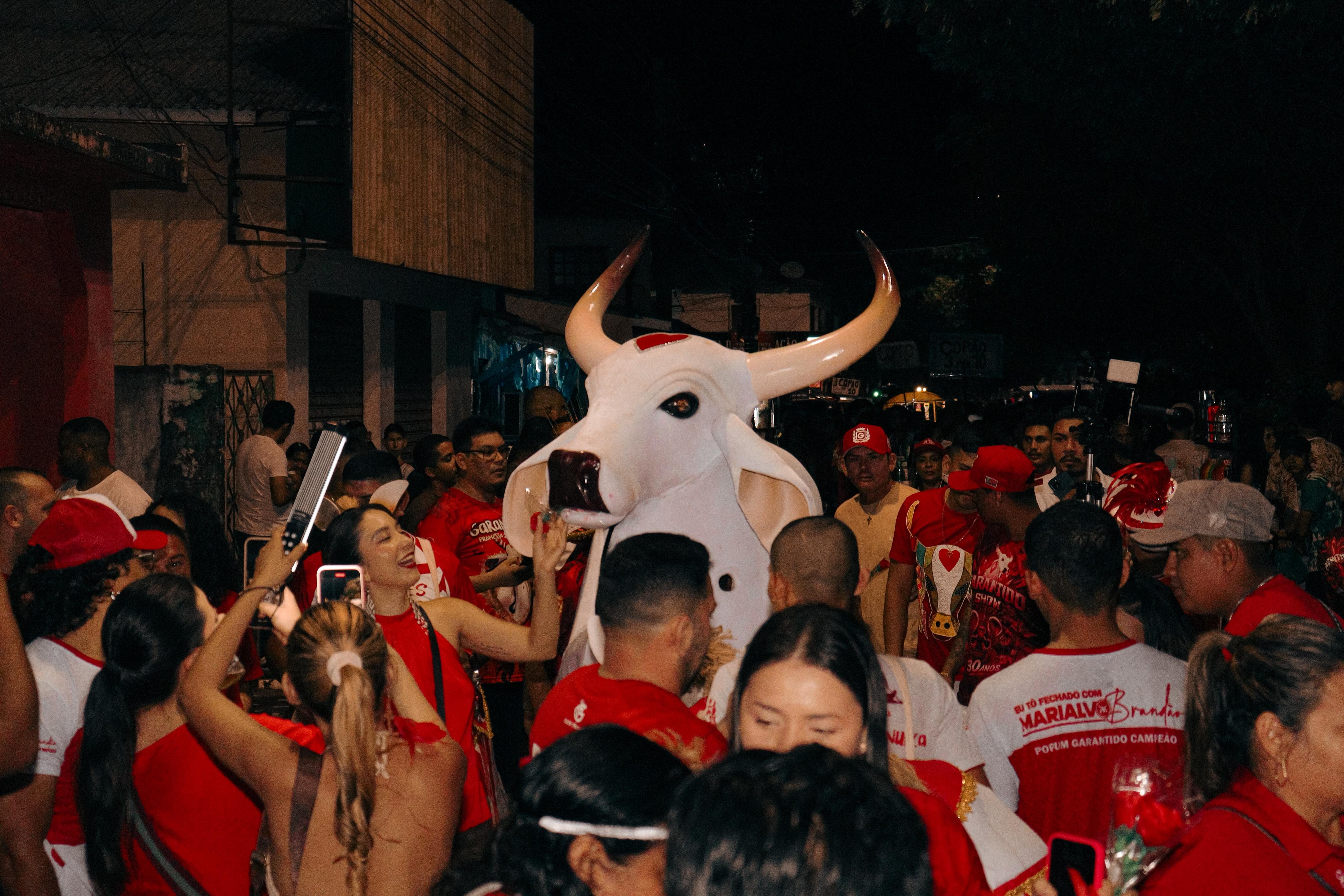 Boi Garantido leva fé, rosa e tradição às ruas de Parintins na Ladainha de Santo Antônio