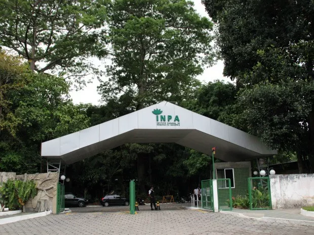 Inpa publica edital para concurso público com 63 vagas para pesquisador e tecnologista
