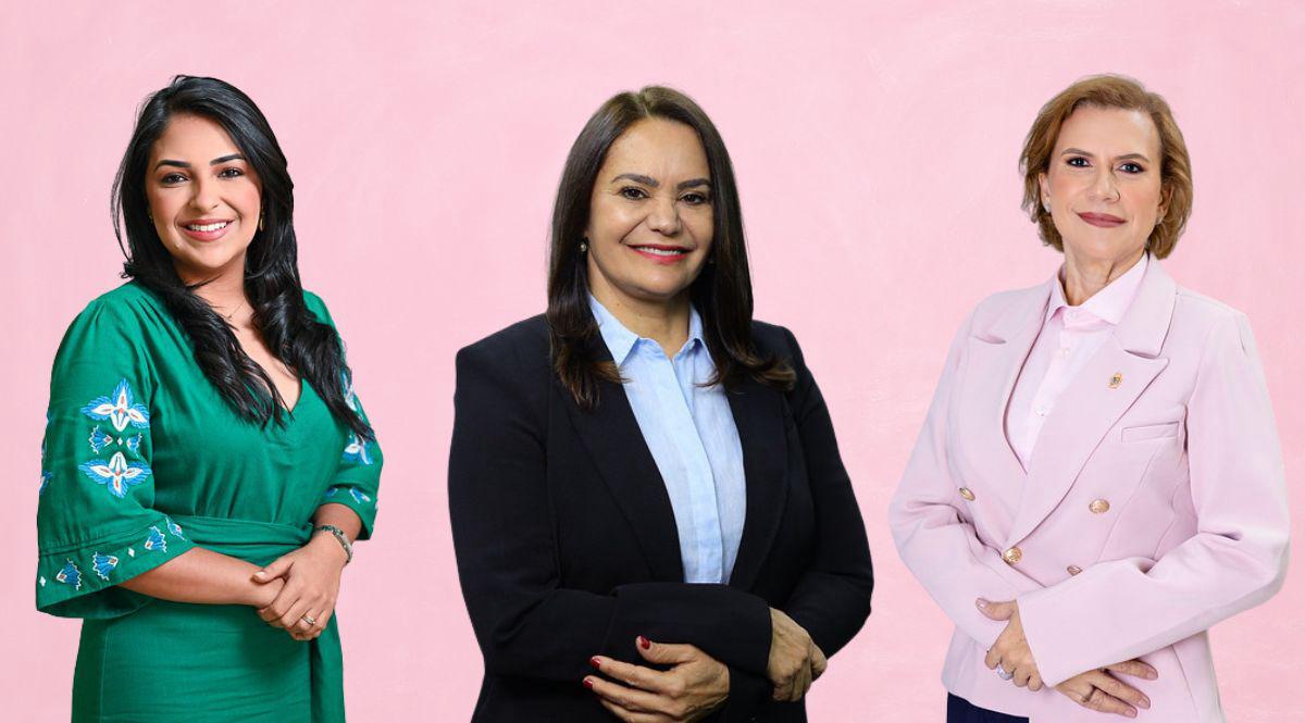 Câmara de Manaus institui Procuradoria Especial da Mulher