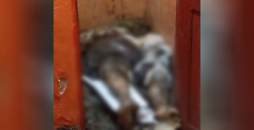 Idoso é encontrado enterrado em banheiro de quitinete no Zumbi