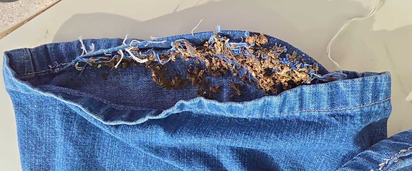 Irmãos são presos ao tentar levar drogas para presos em Novo Airão