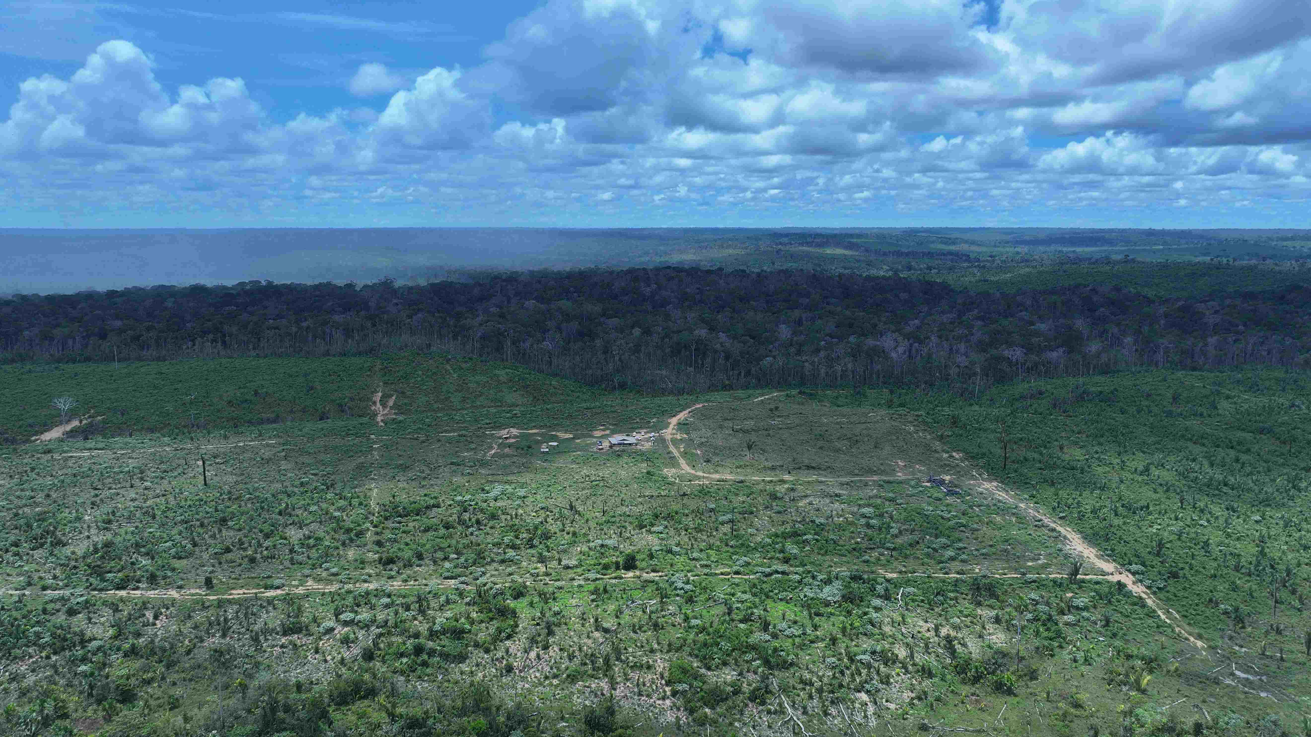 Ipaam aplica mais de R$ 5,4 milhões em multas por desmatamento em Apuí