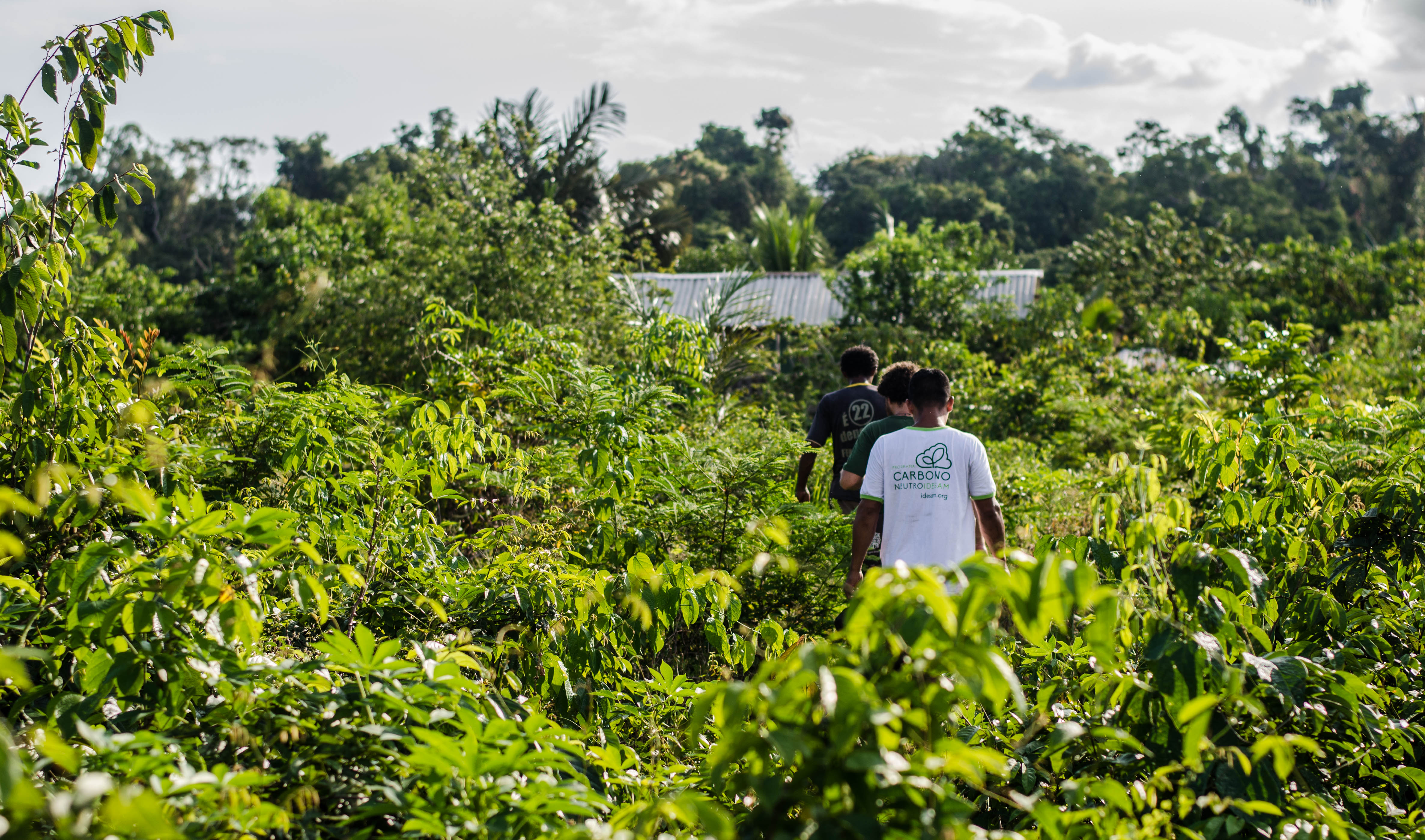 Idesam abre oportunidade de trabalho em Serviços Ambientais