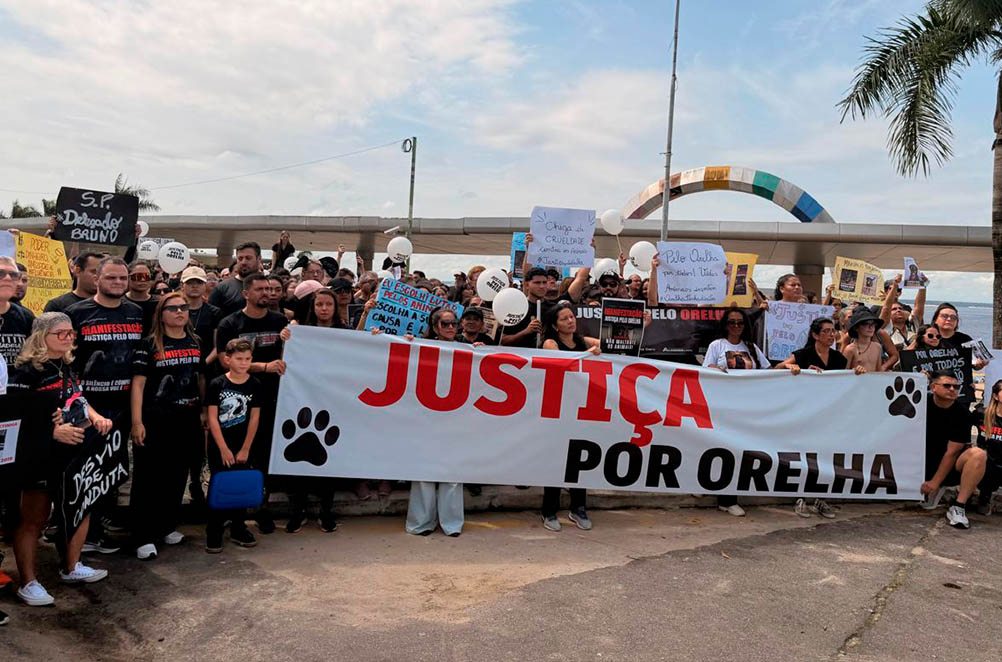 Manaus responde ao clamor de 'Justiça por Orelha', que ecoou em todo o país