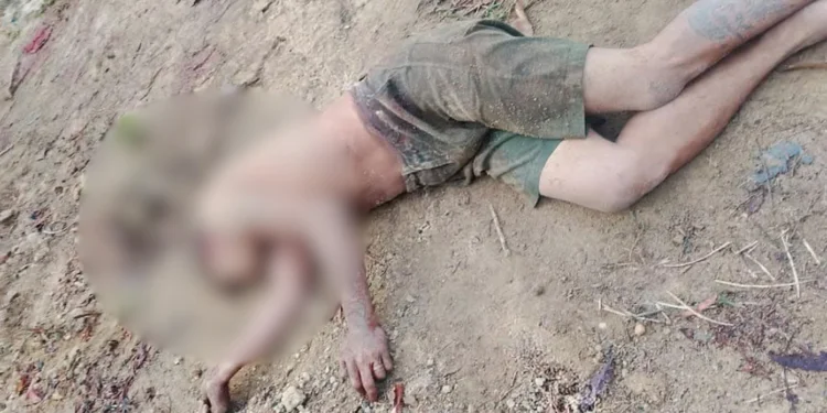 Dois homens são encontrados mortos em chácara na AM-010