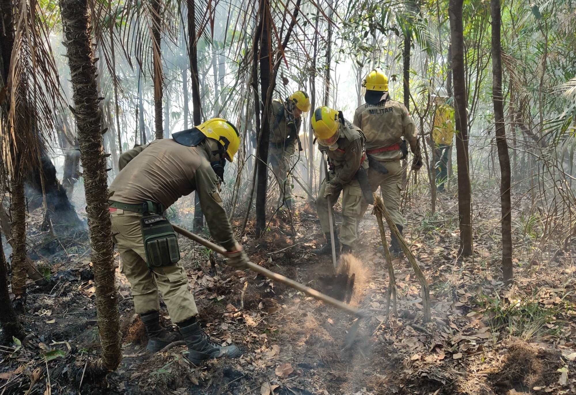 Em setembro, Corpo de Bombeiro combateu mais de 6,6 mil focos de incêndio no estado