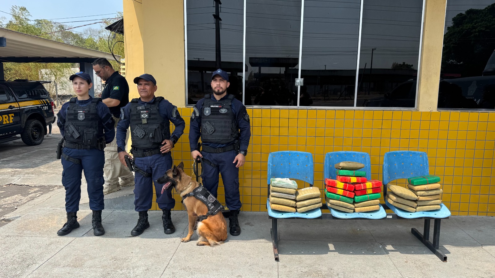 Cadela encontra bagagem com 30 kg de drogas em ônibus na Ceasa