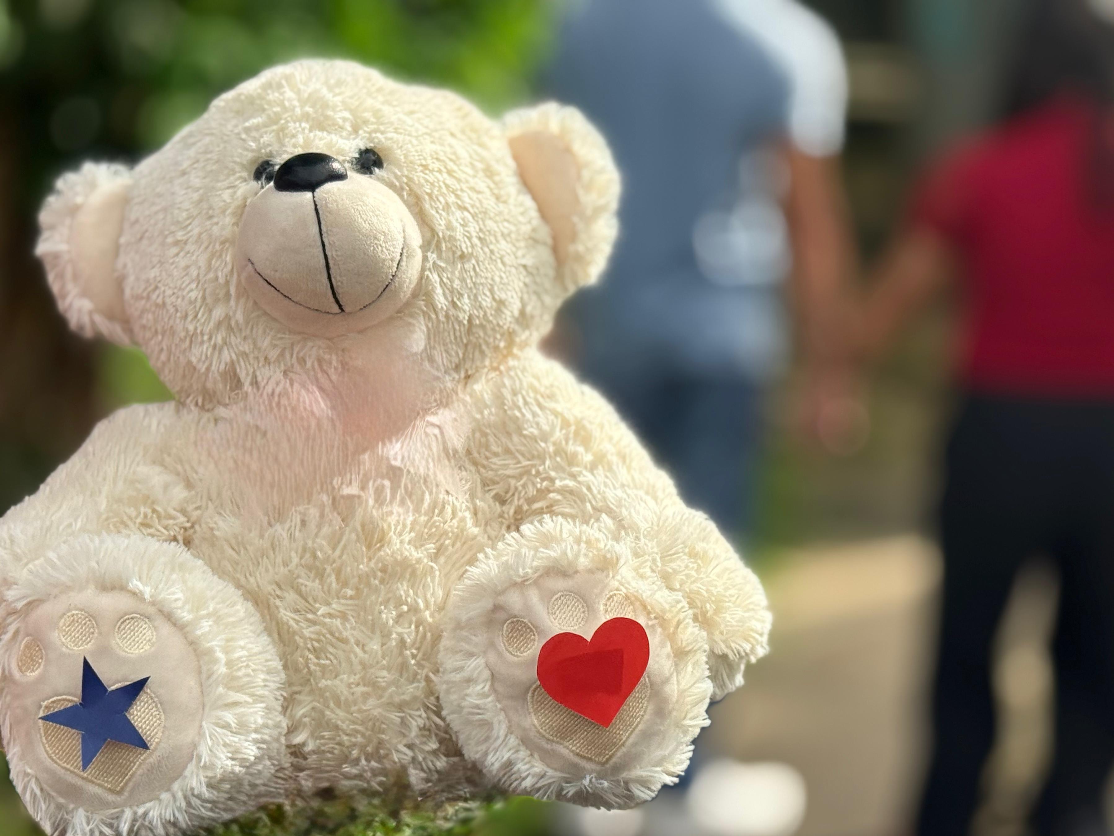 Festival de Parintins: Governo intensifica ações de proteção a crianças e adolescentes