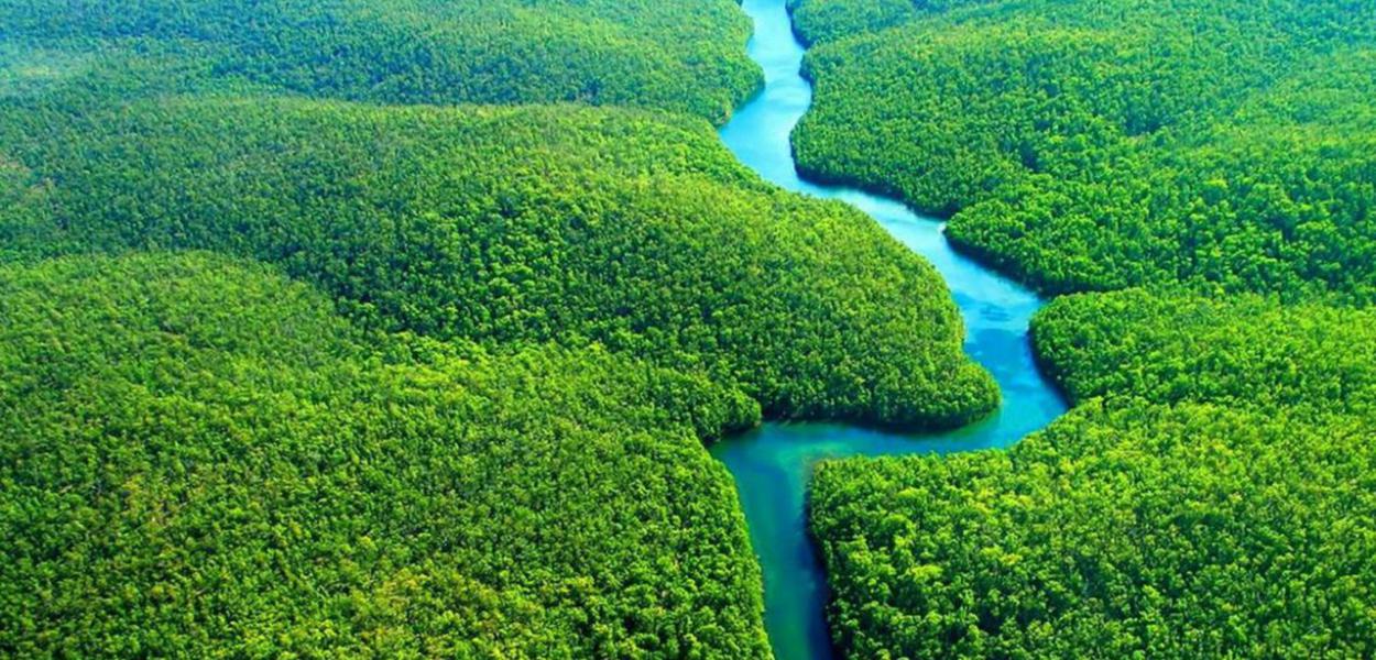 Recursos do Fundo Amazônia serão destinados à preservação do bioma