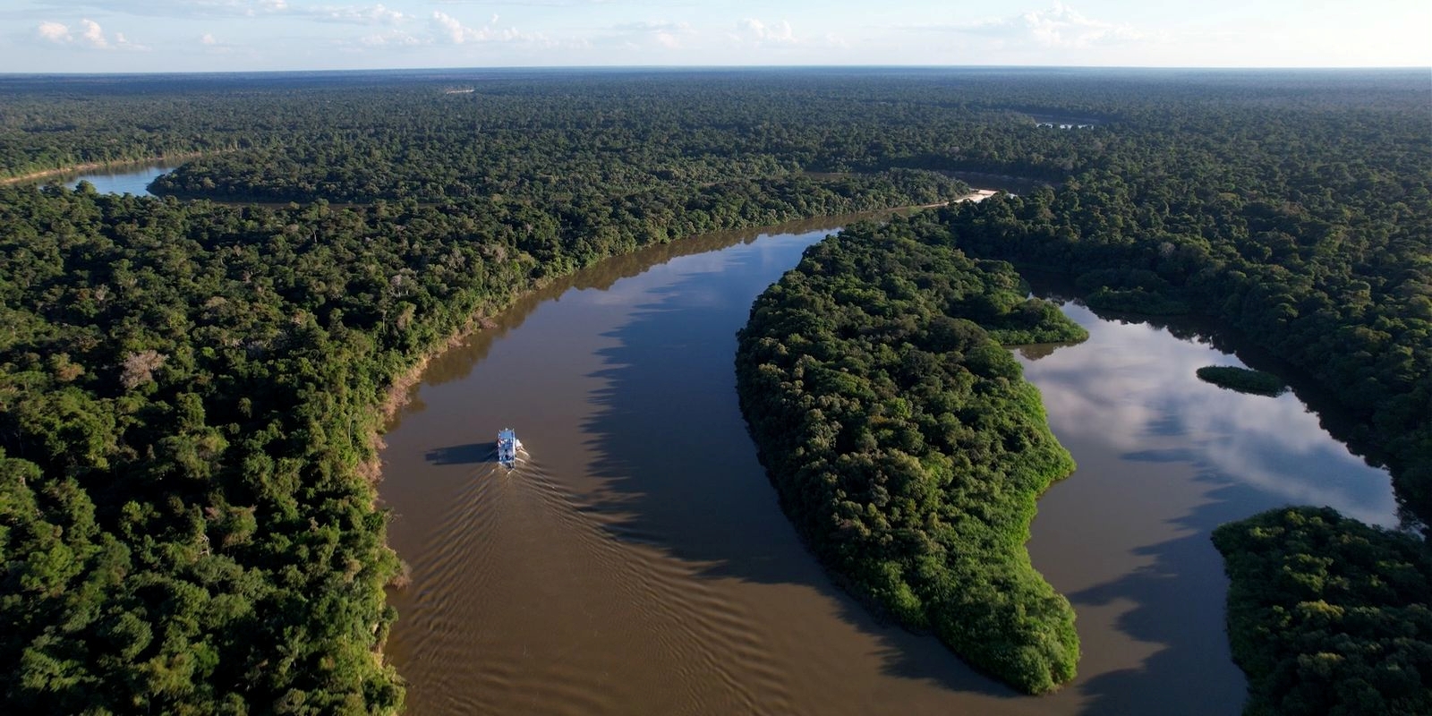 Amazonas reduz desmatamento em 14,6% em 2025, aponta MapBiomas