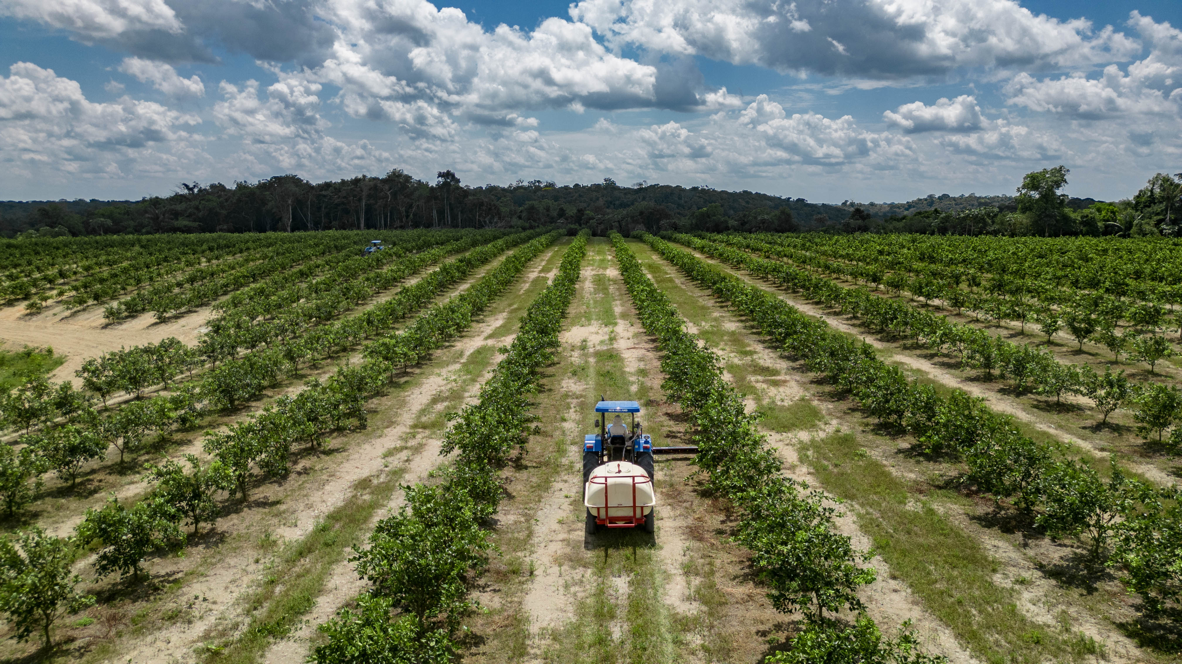 Suframa realiza grande feira do DAS na sede da Autarquia