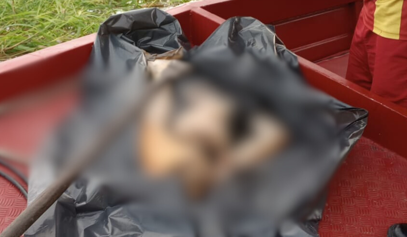 Corpo esquartejado é encontrado em lago na zona Leste de Manaus