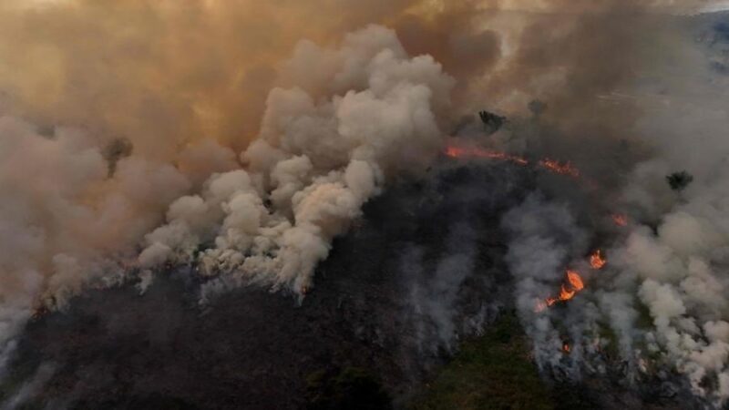 MPAM mobiliza capital e 61 promotorias do interior para atuação em emergência ambiental gerada por queimadas