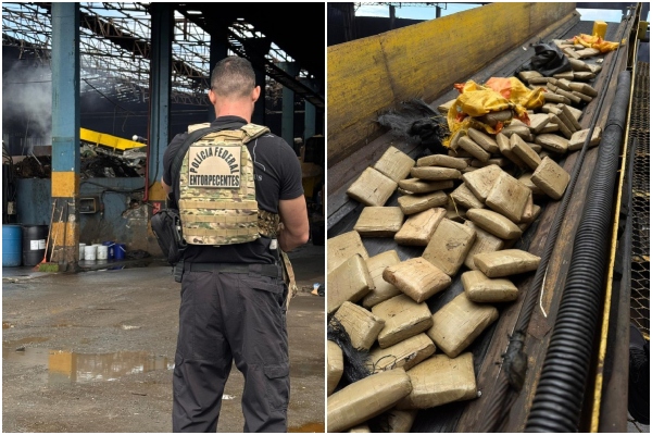 PF incinera 3,6 toneladas de drogas no Amazonas