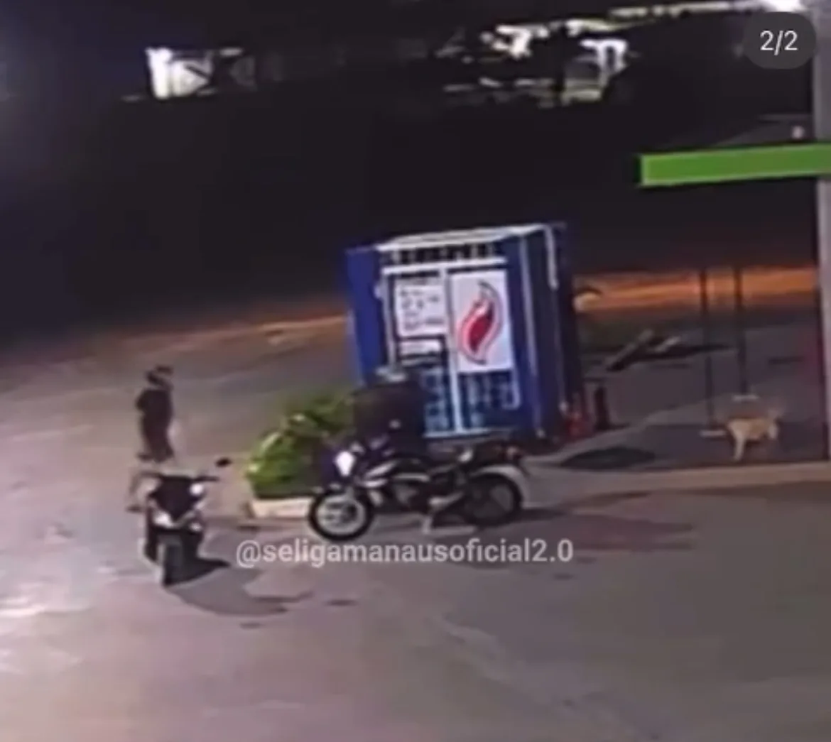 Vídeo: Fotógrafo é suspeito de espancar cadela com filhotes em Manaus; veja