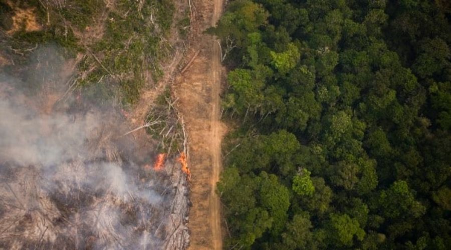 Lábrea e Apuí, no Sul do Amazonas, lideram em desmatamento nos últimos meses, diz Imazon