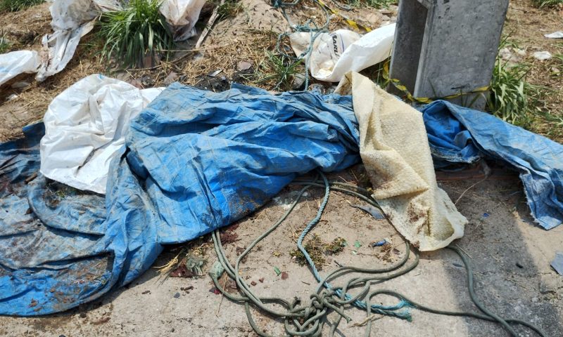 Corpo esquartejado é encontrado enrolado em lona na avenida das Flores