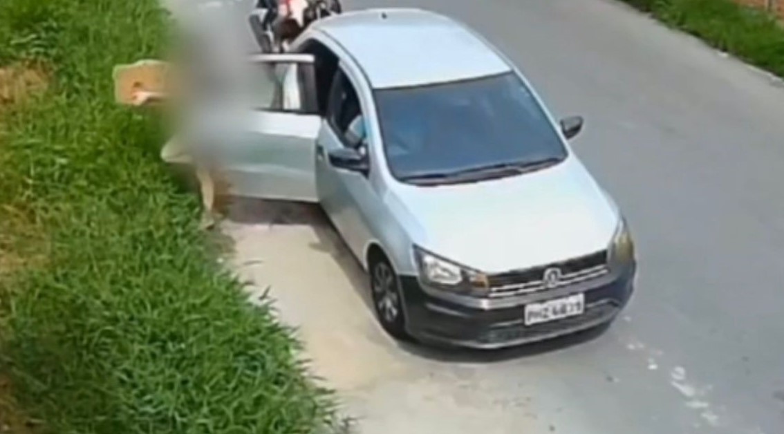 Mãe e filha vão responder por maus-tratos após abandonar filhotes de cachorro em Manaus