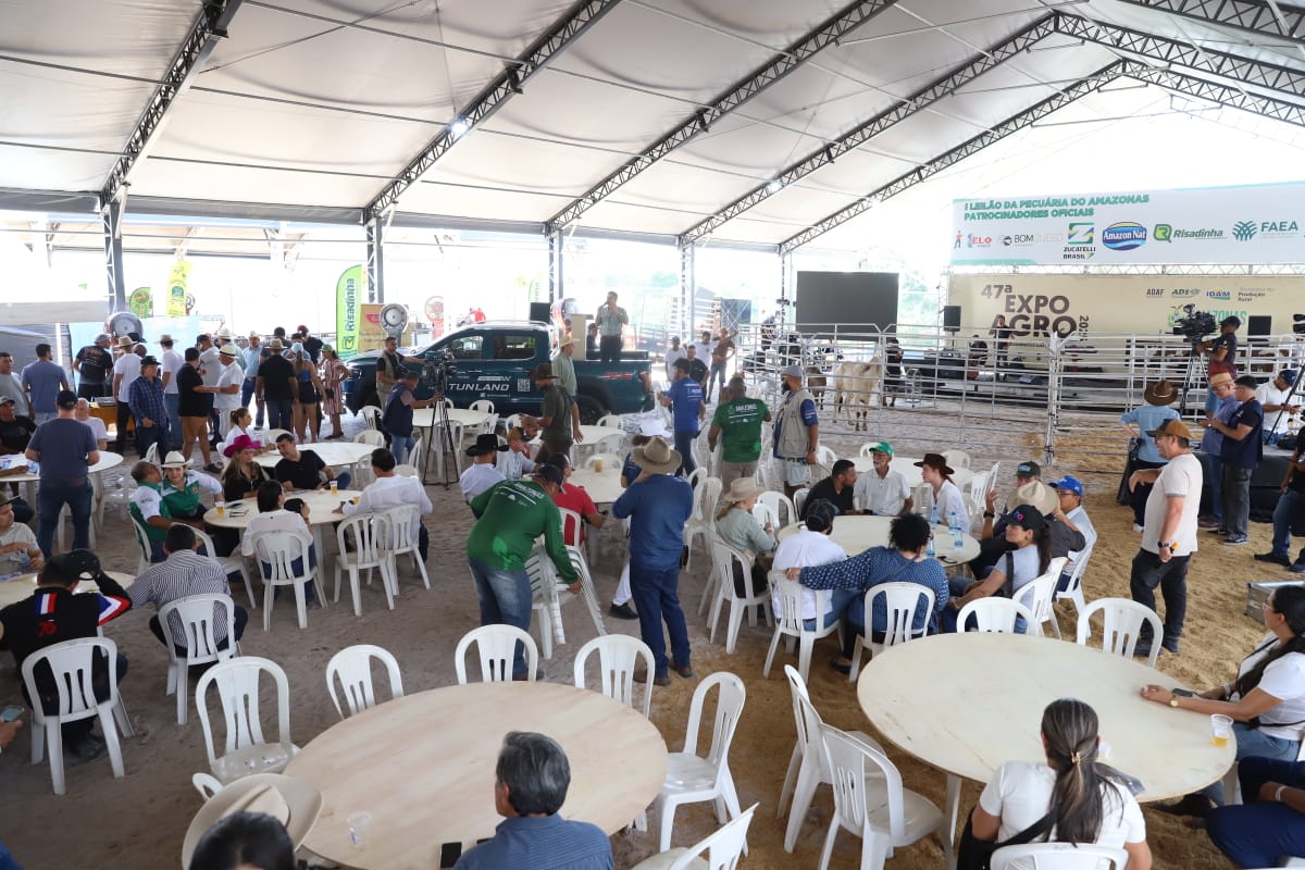 Primeiro Leilão Agropecuário arrecada R$ 337,9 mil e beneficia o Hospital de Amor