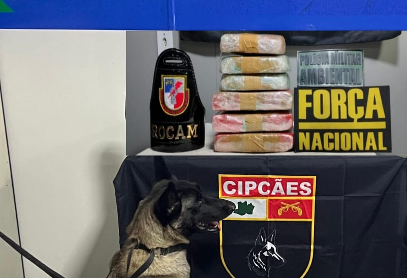 Mãe e filha são presas em embarcação com drogas escondidas nos corpos