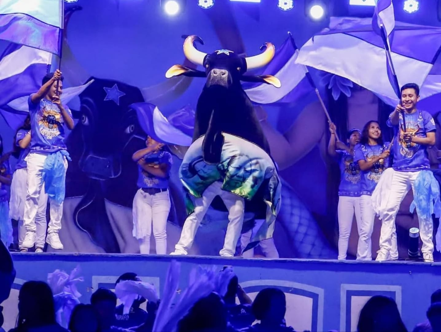 Ensaio Show: festa e homenagem para celebrar torcida oficial do Caprichoso, Raça Azul