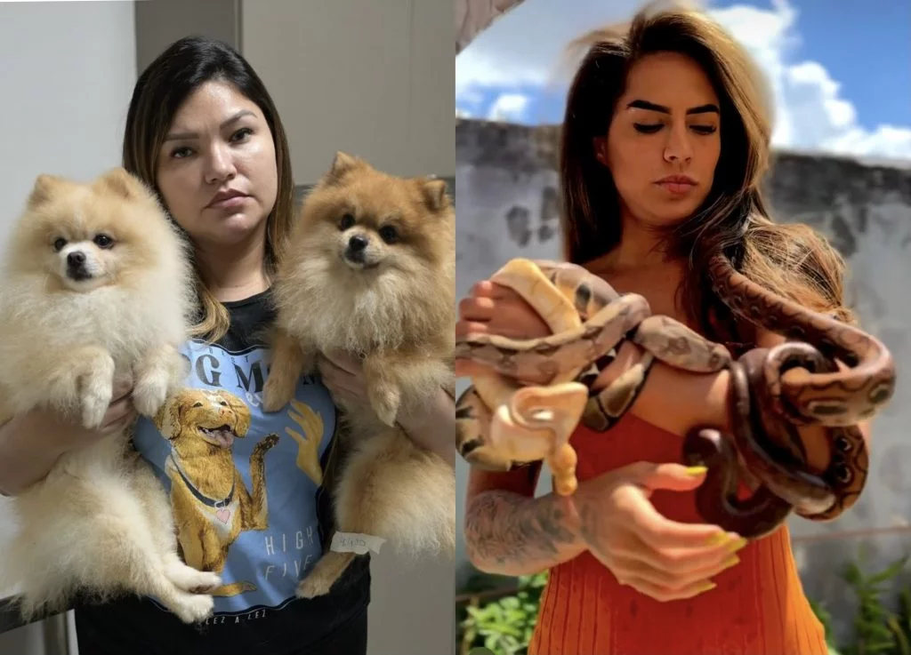 Deputada Joana Darc resgata animais da casa de Djidja aptos denúncias de abuso