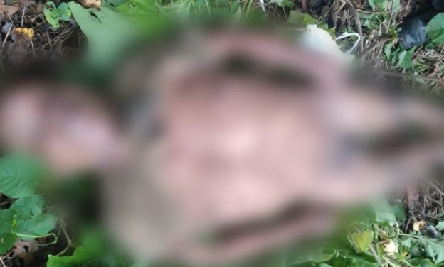 "Rai do Queijo" é encontrado morto com sinais de agressão em Itacoatiara