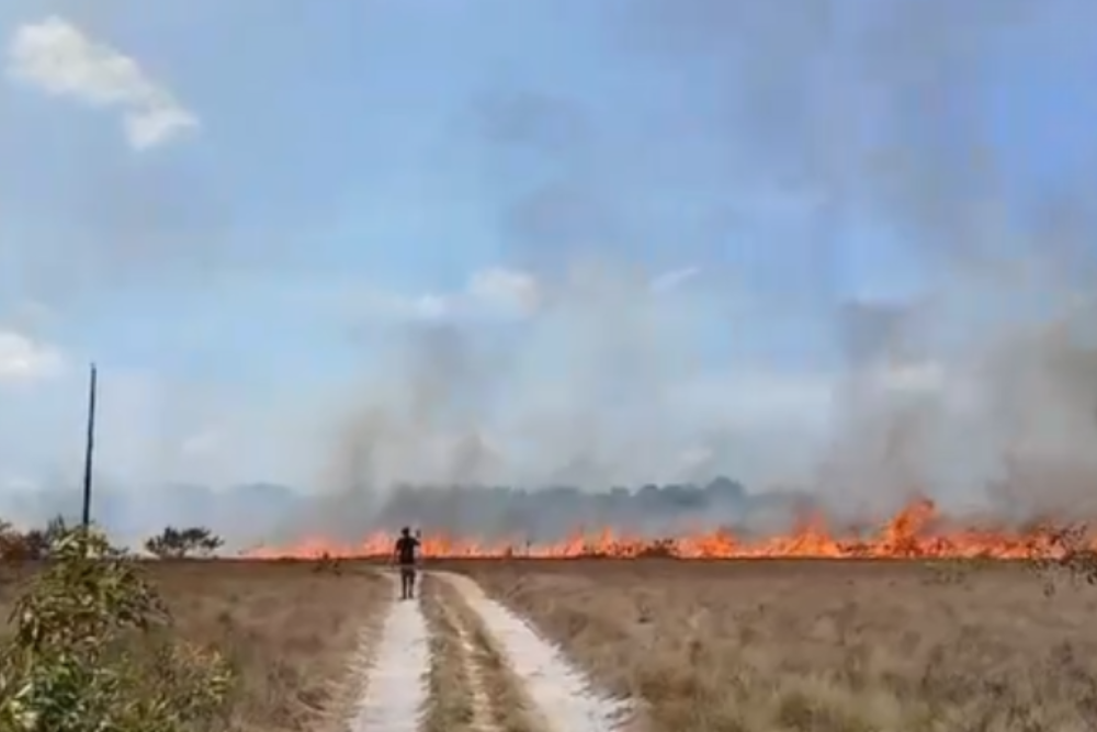 Vídeo: moradores combatem incêndio provocado em área rural de Parintins
