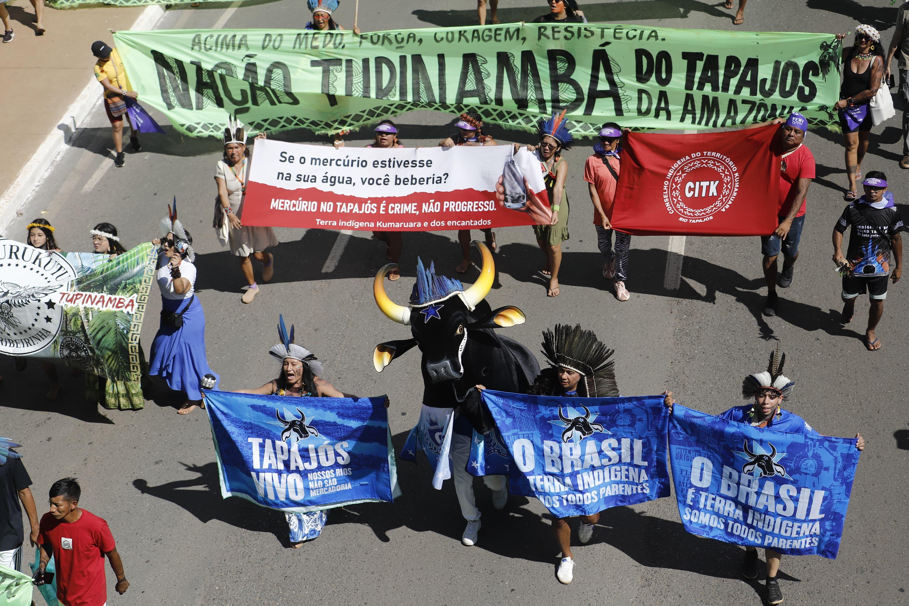 Defensor das causas indígenas, Boi Caprichoso marcha no Acampamento Terra Livre