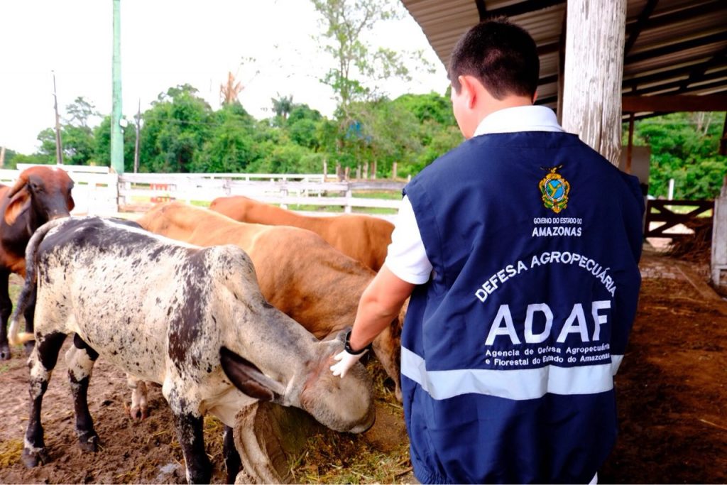 Adaf registra caso de raiva animal em Presidente Figueiredo