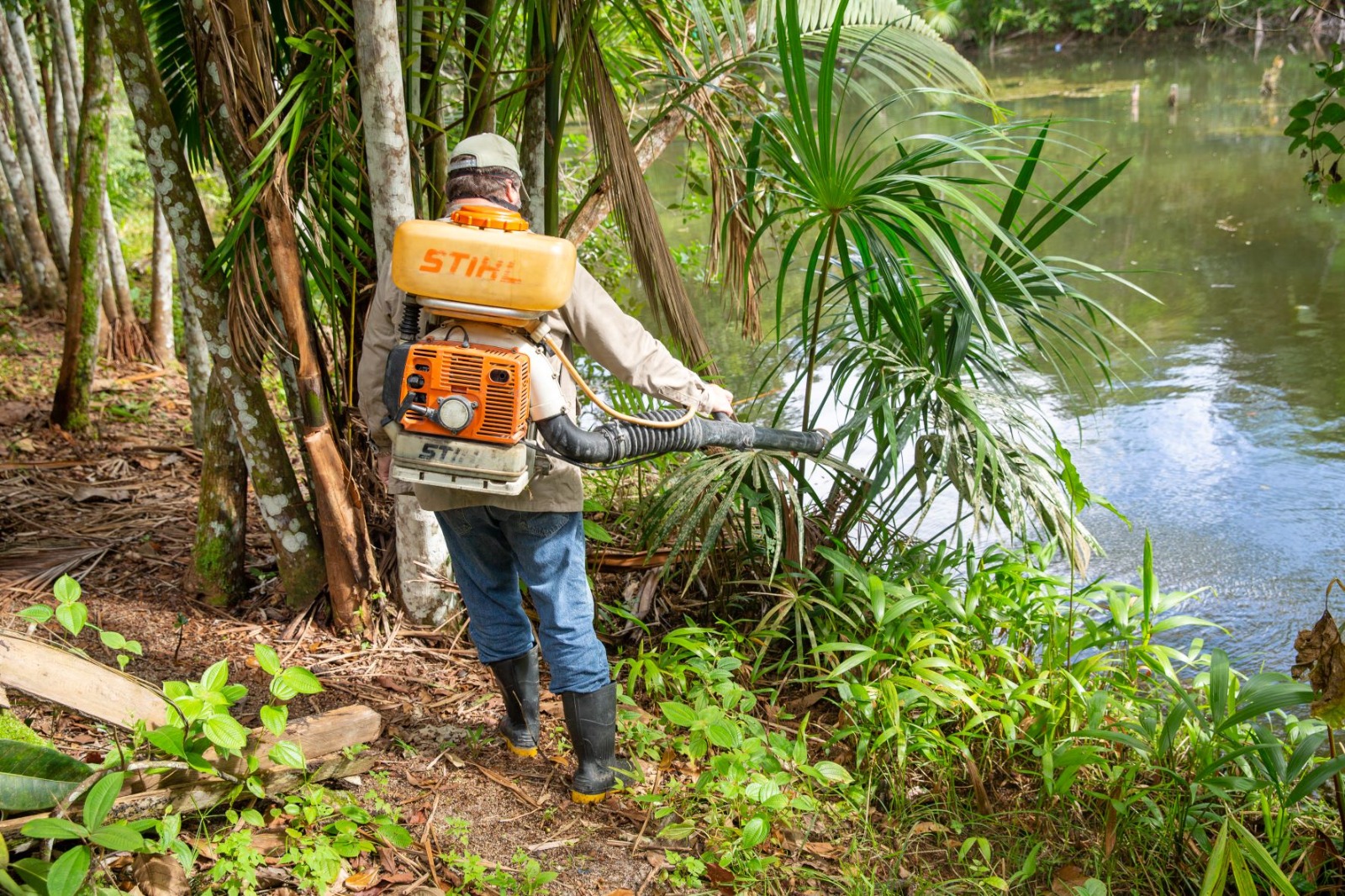 Prefeitura de Manaus alerta sobre risco de transmissão de malária