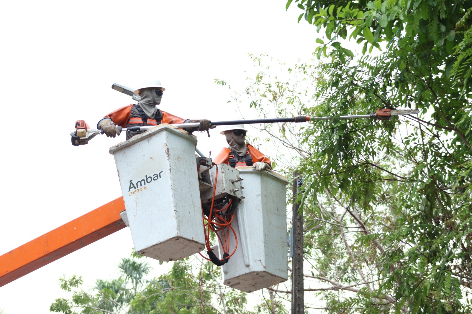 Âmbar Energia realiza 2,3 mil ações na rede elétrica do Amazonas em uma semana