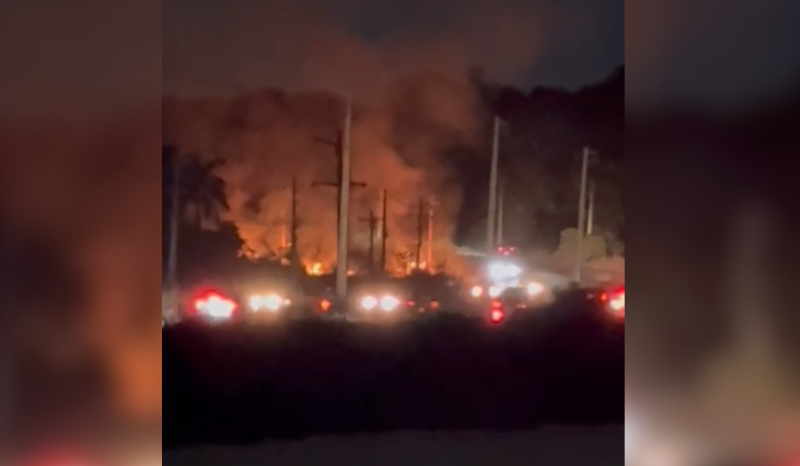 Vídeo: incêndio atinge área de vegetação às margens da AM-010