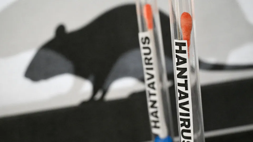 Paraná confirma dois casos de hantavírus e investiga outros 11