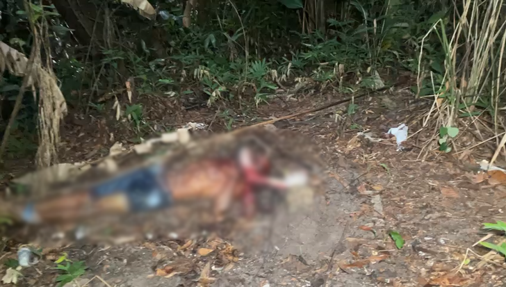 Vídeo: Torturado e amordaçado, corpo é encontrado em área abandonada