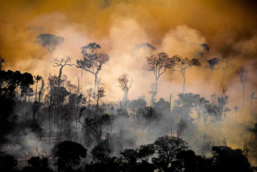 Queimada em Lábrea, no sul do Amazonas - Foto: Pietro Degiampietro