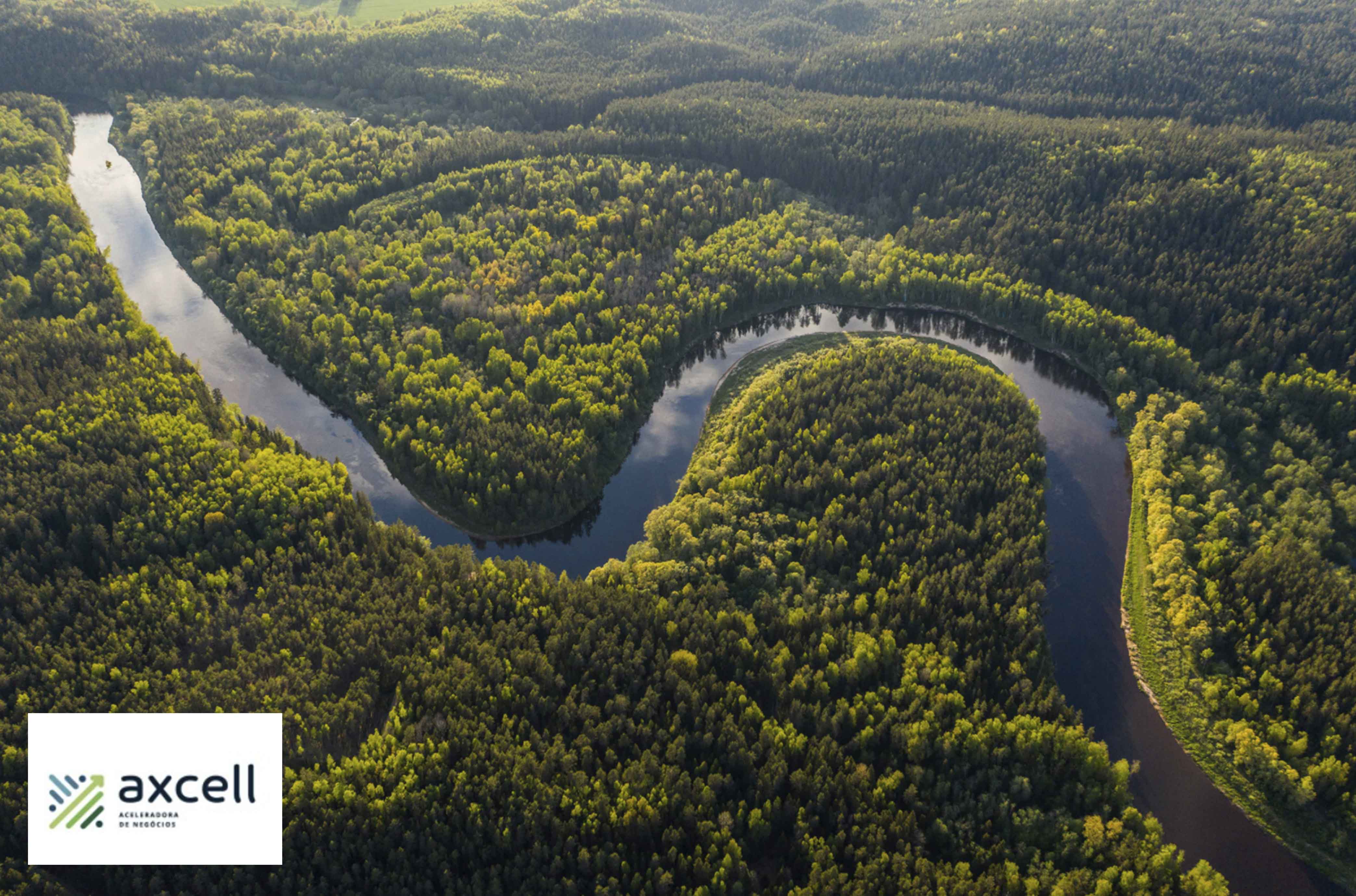 Axcell: Aceleradora de negócios celebra Dia da Amazônia investindo na sociobioeconomia regional
