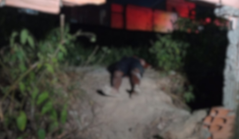 Homem é encontrado morto a terçadadas em área de mata na zona leste