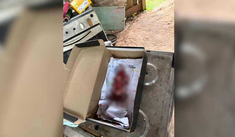 Vídeo: feto é encontrado dentro de caixa de sapatos em Itacoatiara