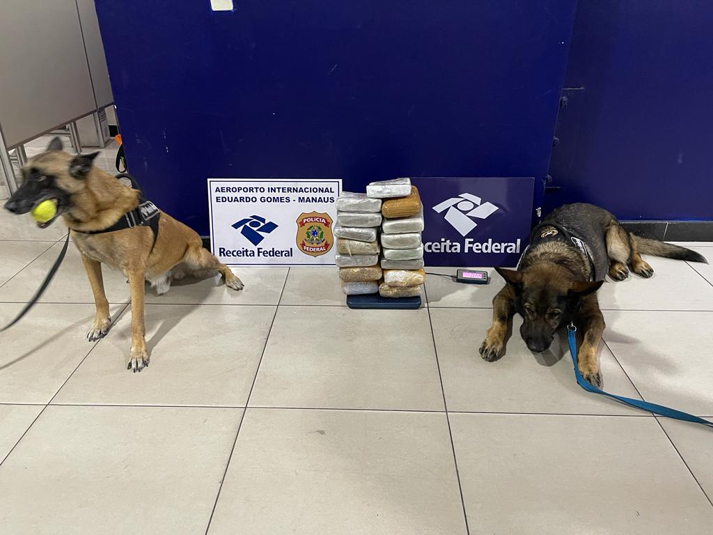 Receita apreende 8,5 quilos de skunk camuflada em polpa de açaí