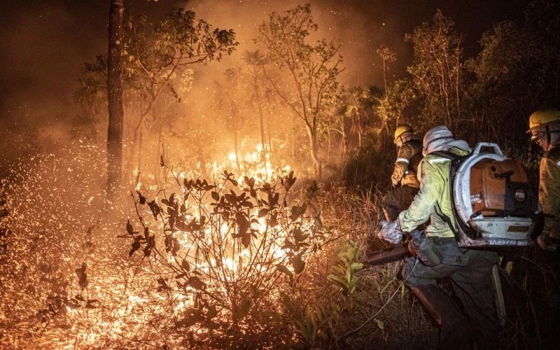 Governo mobiliza 160 bombeiros da Força Nacional para combater incêndios no AM